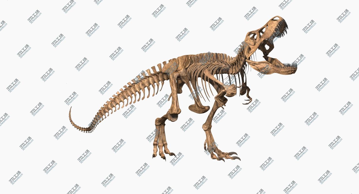 images/goods_img/202104091/3D Tyrannosaurus Rex Skeleton/2.jpg